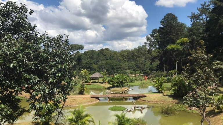 Jardim Botânico de Brasília se organiza para reabertura