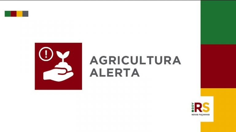Com a volta do calor, Secretaria da Agricultura aumenta vigilância sobre nuvem de gafanhotos vinda da Argentina