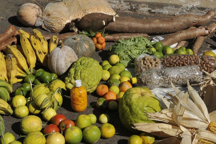 Mutirão distribui cestas agroecológicas para comunidades vulneráveis