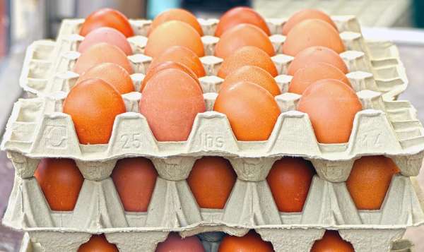 Ovos, manteiga e carne bovina registram quedas de preço na Ceasa