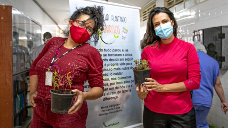 Campanha Plantando Sorrisos termina com doação de 2.100 vasos