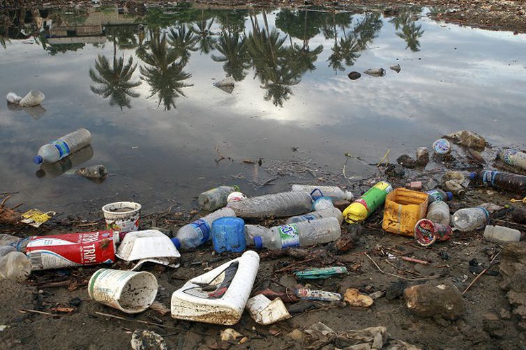 Poluição de plástico em oceanos pode triplicar até 2040, alerta estudo