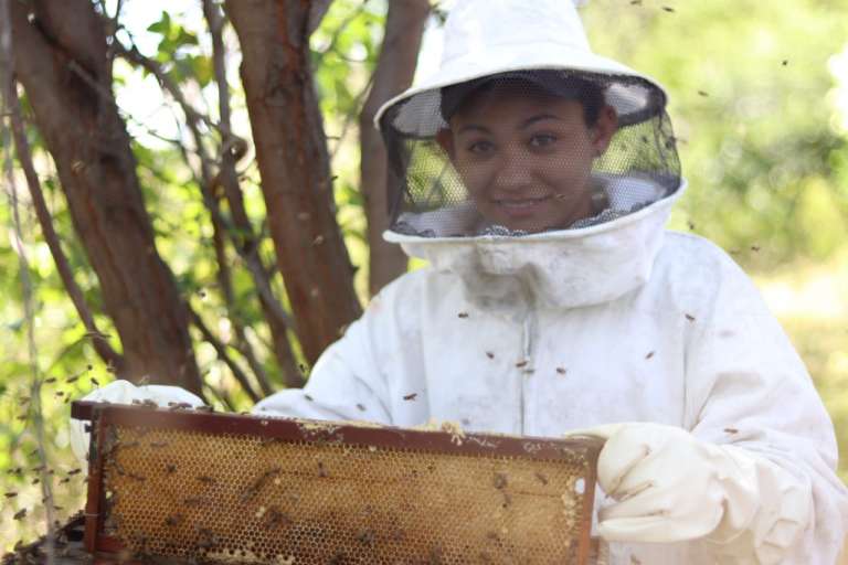 Em Tabuleiro do Norte, Ematerce aposta em experiência colaborativa na produção de mel