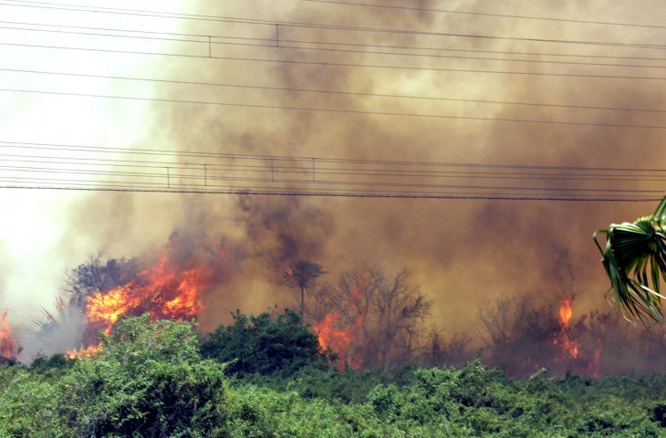 Reinaldo Azambuja decreta estado de emergência no Pantanal devido incêndios