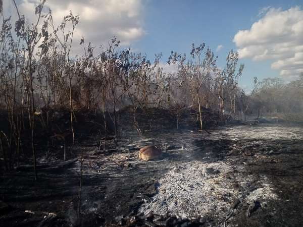 Decretada emergência ambiental no Ceará para combater incêndios até janeiro de 2021