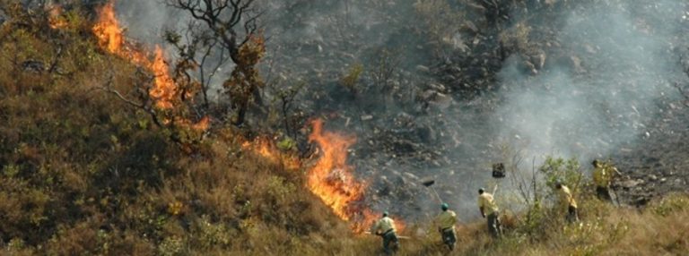 Estado lança campanha de prevenção a incêndios florestais