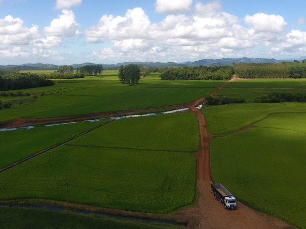 Epagri conclui mapeamento da área de arroz por imagens de satélite