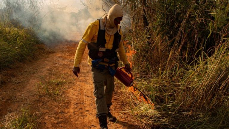 Publicada quarta chamada para brigadistas florestais