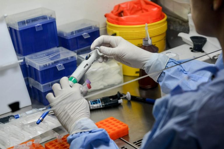 Domingo (02): Mato Grosso registra 53.440 casos e 1.902 óbitos por Covid-19