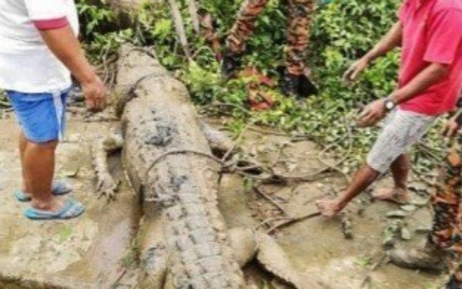 Restos mortais de jovem são encontrados dentro de crocodilo de 4,3 metros