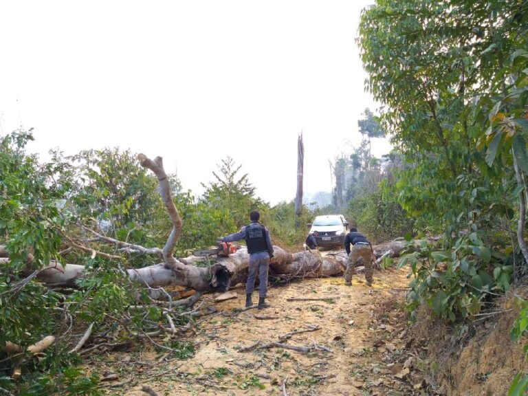 Equipes de fiscalização ambiental sofrem emboscadas em Colniza