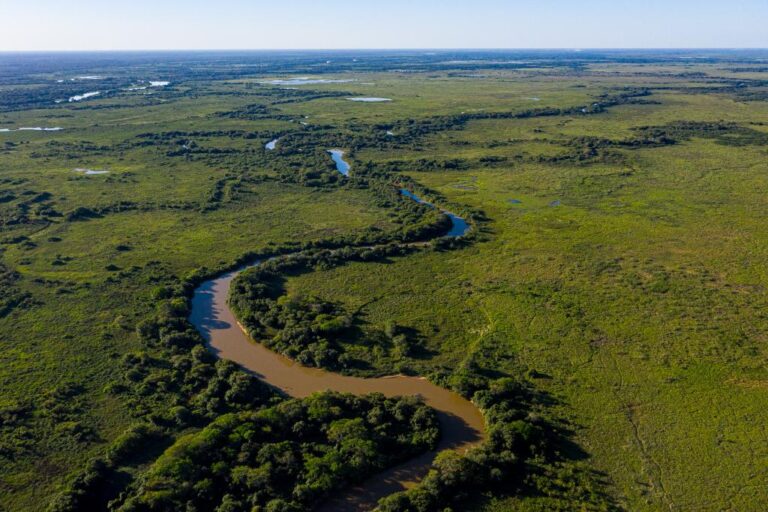 Empresários são parceiros do Governo no combate aos incêndios no Pantanal