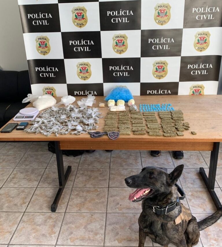 Polícia Civil, com auxílio de cadela, localiza drogas