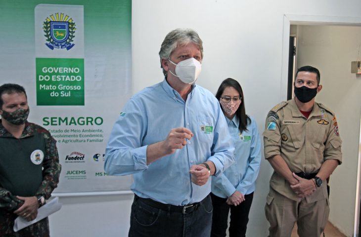 Relatório da Operação Pantanal mostra aumento dos focos de incêndio em MS