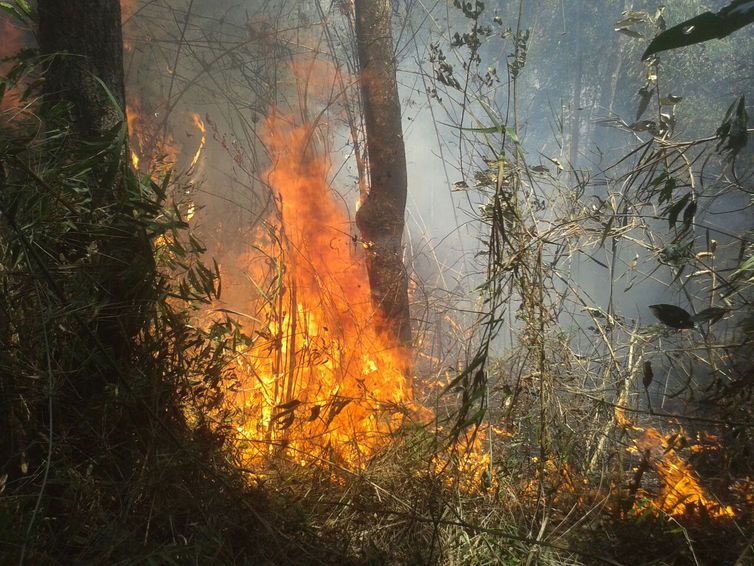 Prossegue combate a incêndio florestal na Serra dos Órgãos