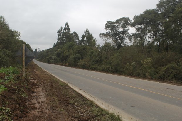 Infraestrutura lança licitação para projeto de restauração da SC-477, no Norte do estado