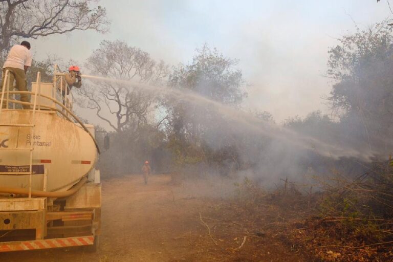 Iniciativa privada cede colaboradores e maquinários para ajudar no combate aos incêndios no Pantanal