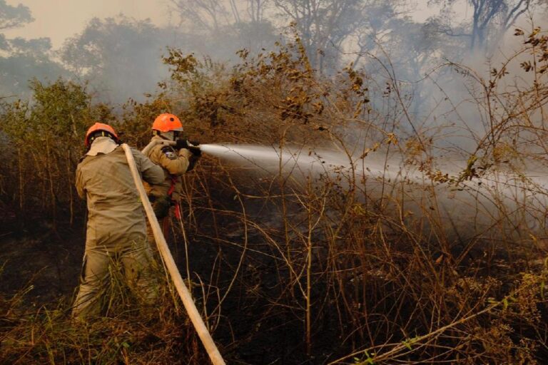 Sema destina máquinas de infratores para combate aos incêndios no Pantanal