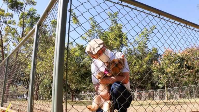 Parque do Sudoeste ganha área exclusiva para pets    