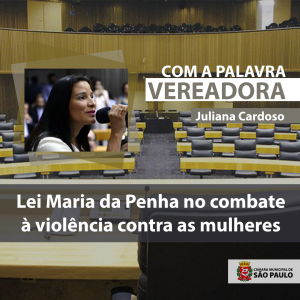 Artigo: Lei Maria da Penha no combate à violência contra as mulheres