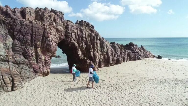 Movimento Onda Limpa mobiliza voluntários para limpar as praias antes de receber visitantes