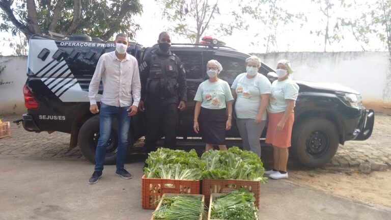 Produção de horta prisional em Colatina auxilia na alimentação de asilo