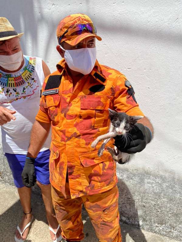Corpo de Bombeiros resgata filhote de gato que caiu em bueiro na Capital
