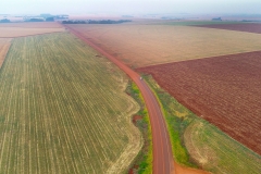 Obra de Implantação e pavimentação  asfáltica MS 165 (Sul Fronteira) Foto Saul Schramm)