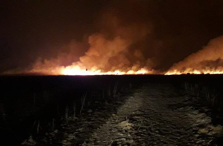 Bombeiros combatem incêndios no Pantanal do Nabileque