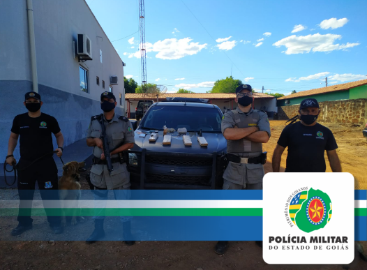 Cães farejadores da PMGO, localizam drogas em São Miguel do Araguaia