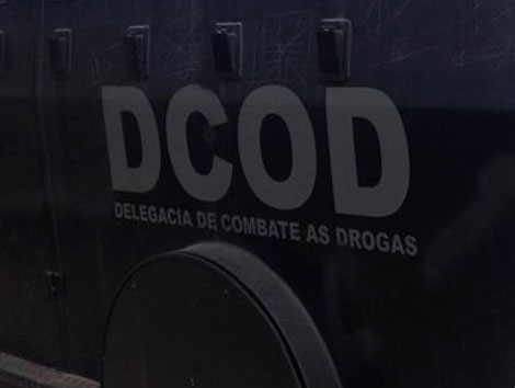 DCOD encontra plantação de maconha em quintal de residência na Barra da Tijuca 