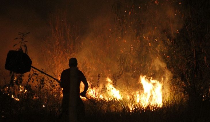 Atear fogo em terreno baldio é crime e multa pode chegar a quase R$ 10 mil