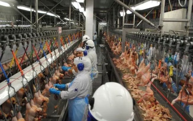 Após caso do frango com coronavírus, Filipinas suspendem importações brasileiras