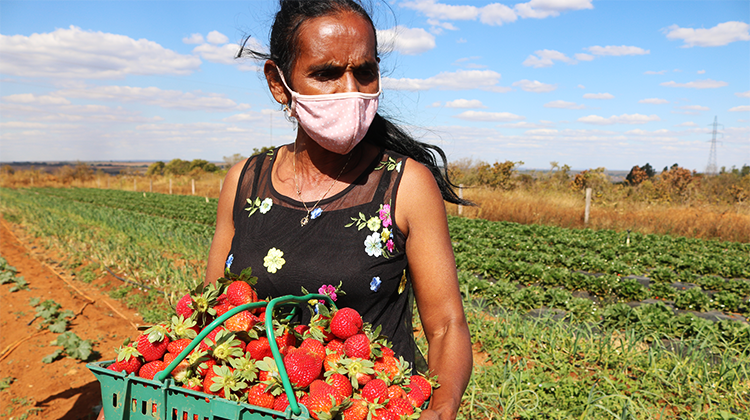 Saneamento rural vai beneficiar 250 chácaras em Brazlândia