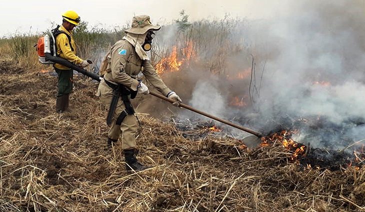 Operação de combate às queimadas no Pantanal faz o número de focos de incêndio cair de 301 para 50