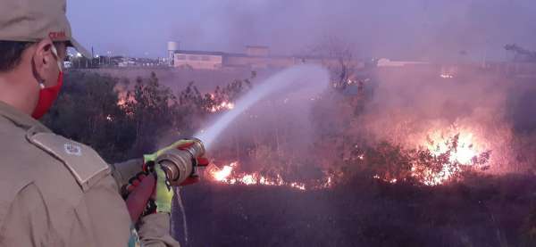 Corpo de Bombeiros debela 19 incêndios em vegetação num período de 24 horas em Sobral