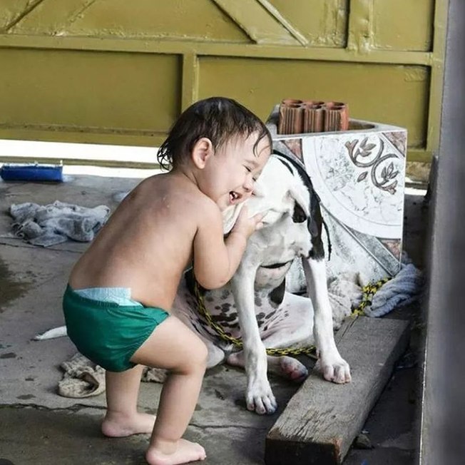 Cãozinho é encontrado após ficar um ano desaparecido: “não tinha esperanças”