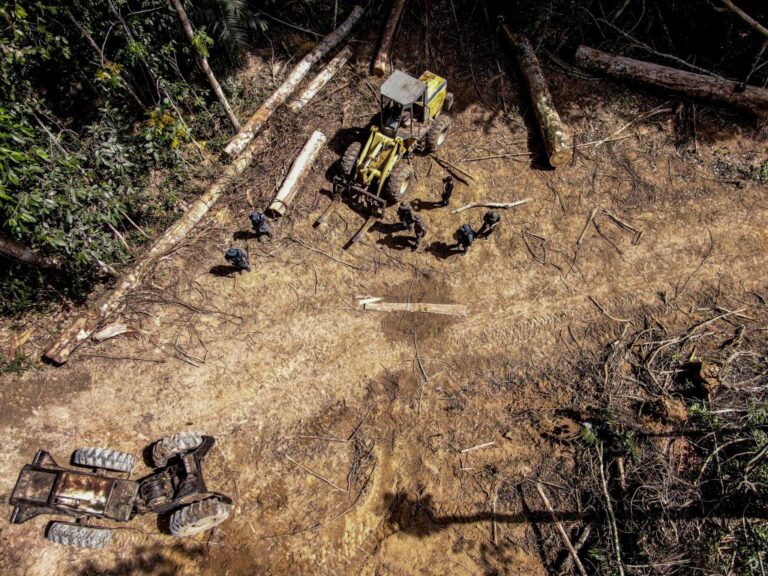 Crimes contra o bioma amazônico resultaram em R$ 664 milhões em multas contra infratores