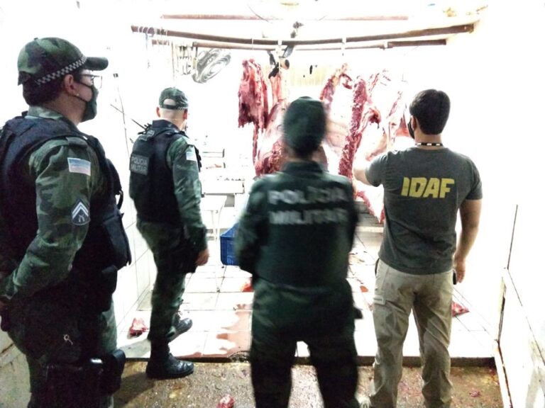 Mais de 300 quilos de carne bovina clandestina apreendidos em Dores do Rio Preto