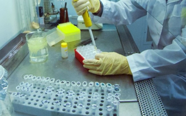 Covid-19: testes clínicos de candidata a vacina devem terminar em setembro