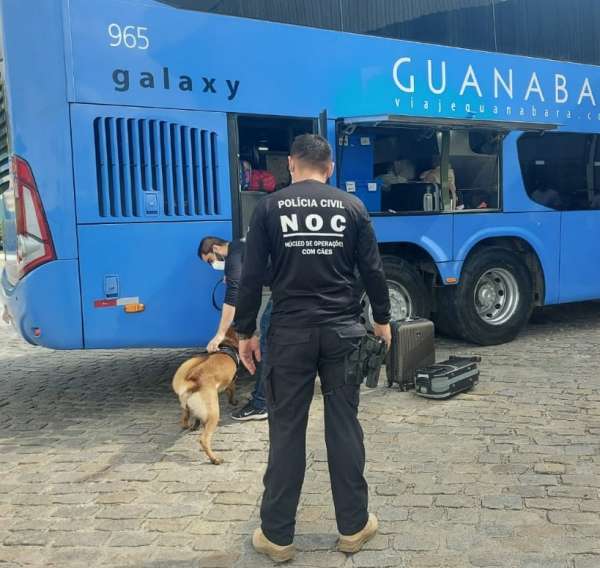 Polícia Civil usa cães farejadores em ação de prevenção contra o tráfico de drogas em Fortaleza