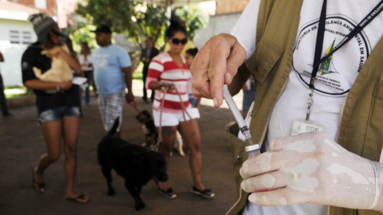 Vigilância Ambiental capacita funcionários para vacinação contra raiva