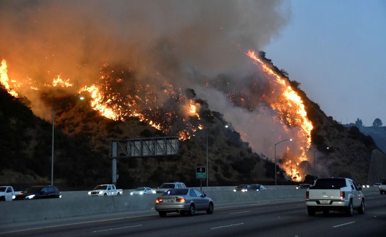 Califórnia busca ajuda para combater incêndios florestais 