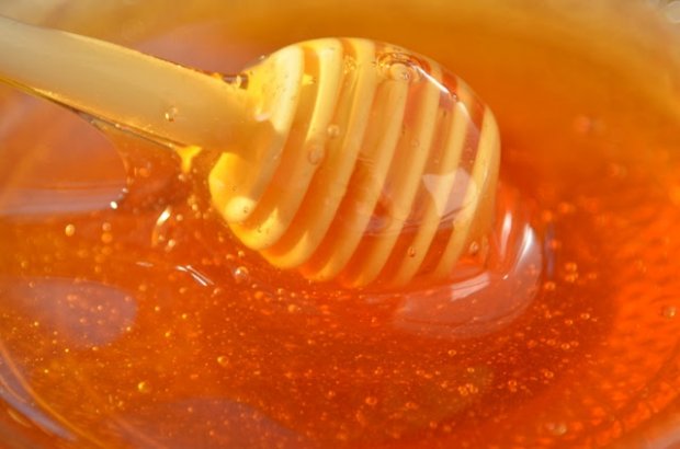 Grupo de apicultores do Oeste catarinense vende mais de 90 toneladas de mel em 2020