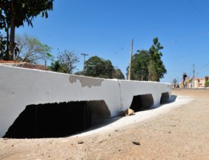 Foto: Acácio Pinheiro / Agência Brasília