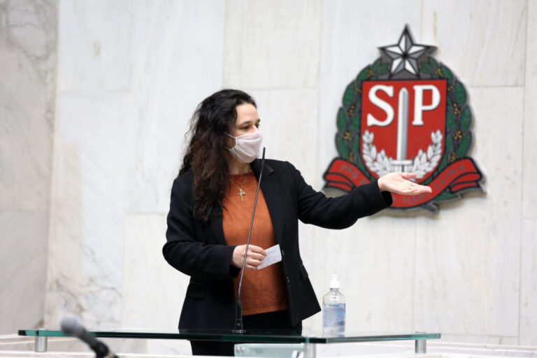 Janaina Paschoal anuncia a instalação da frente parlamentar pela celeridade na adoção de bebês