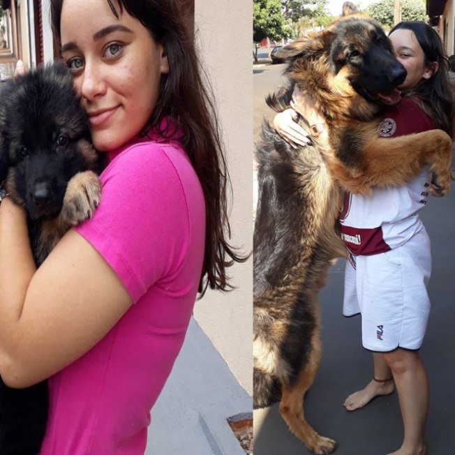 Fofura! Mulher recria foto com cão todo mês para mostrar o crescimento dele
