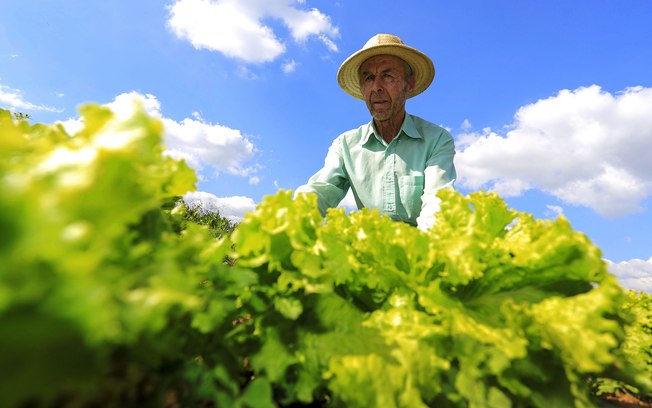 Com veto de Bolsonaro, auxílio emergencial não é estendido a agricultor familiar