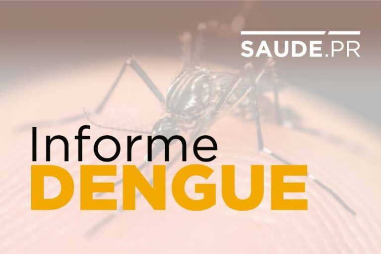 Paraná tem 112   novos casos de   dengue confirmados