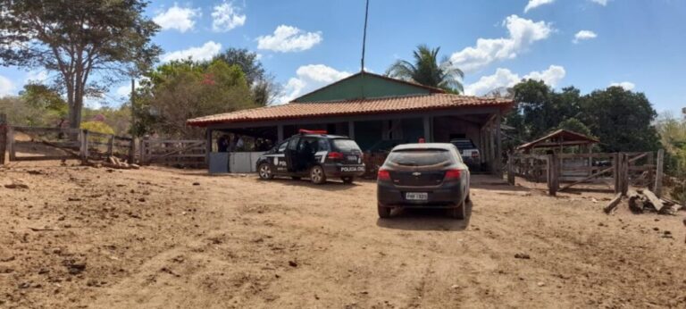 Polícia Civil recupera gado furtado em Uruaçu; autores são investigados por posse de arma e receptação